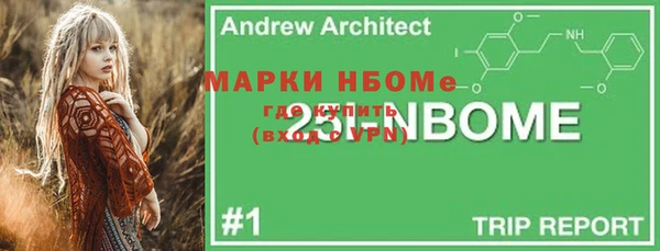 ПСИЛОЦИБИНОВЫЕ ГРИБЫ Вяземский
