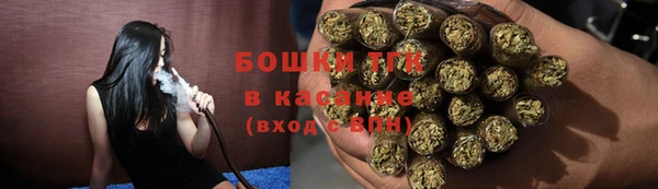 ПСИЛОЦИБИНОВЫЕ ГРИБЫ Вяземский