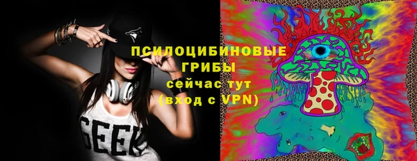 дживик Вязьма