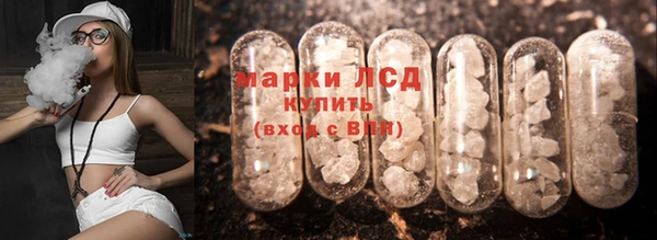 ПСИЛОЦИБИНОВЫЕ ГРИБЫ Вяземский