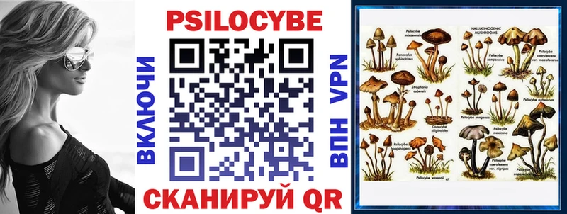 хочу   Иннополис  Псилоцибиновые грибы GOLDEN TEACHER 